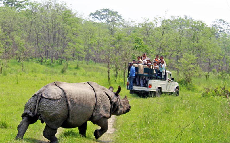 Top Visit Area in Kathmandu