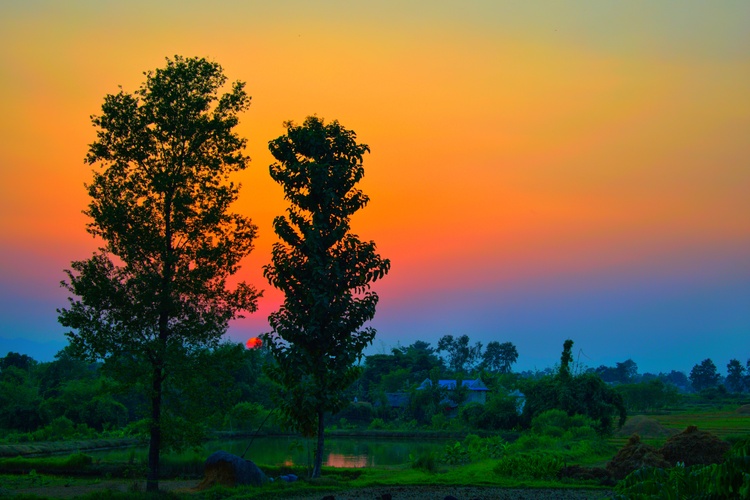 Bruno ( Motard de Bordeaux)