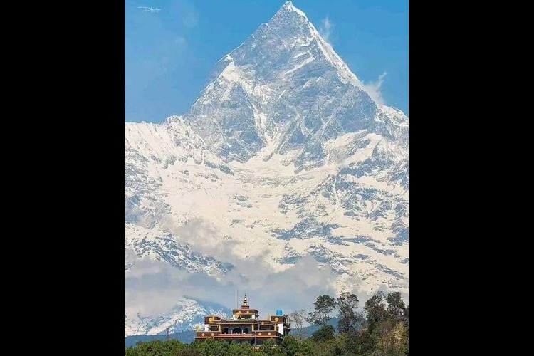 Paulo et Sylvie ( Rochefort)